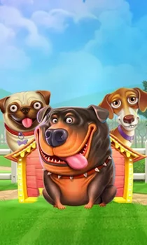 The Dog House