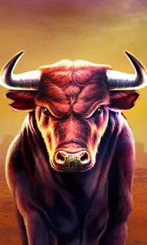 Black Bull